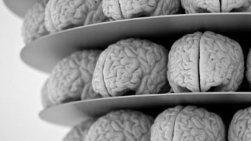 brains