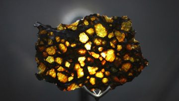 Imilac_slice_Museo_del_Meteorito