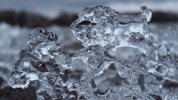 Editorial: Go, Forecasts, Faults and Puzzles ice