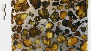 Pallasite