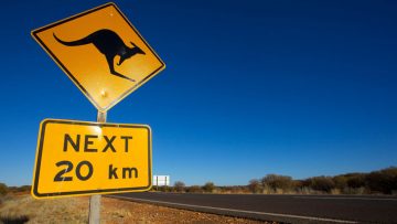 kangaroo-sign