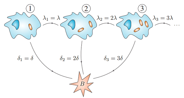 Multi-Scale-Modelling-of-Bacterial-Infections-figure-1