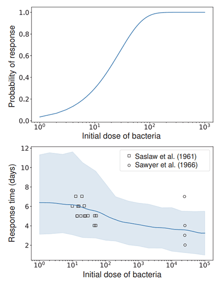 Multi-Scale-Modelling-of-Bacterial-Infections-figure-3