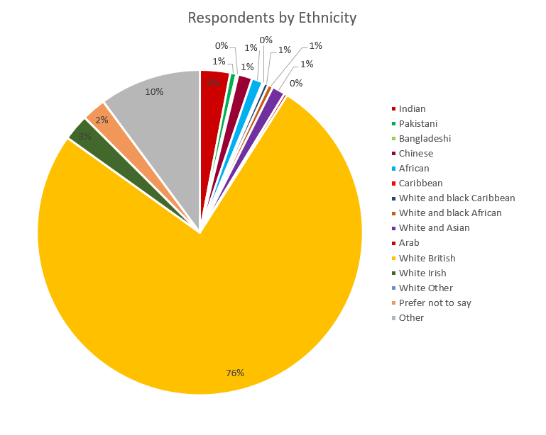Diversity Survey 2019 figure 4 Respondents by Ethnicity