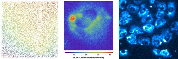 Ben-Calverley-research