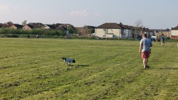 Urban Maths: Who Let the Dog Out? Walking the dog