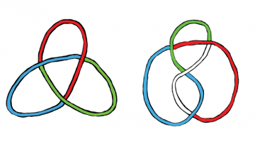 Feature Image What's Knot to Love