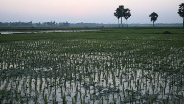 The Ubiquity and Diversity of Mathematics Ganges–Brahmaputra delta
