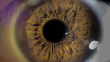 Close up image of an eye