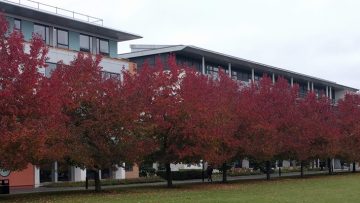 Encouraging Women in STEM via Work Experience University of Warwick