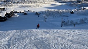 The Importance of Mathematics Education Noel-Ann Bradshaw skiing