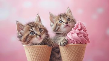 Ice cream and kittens